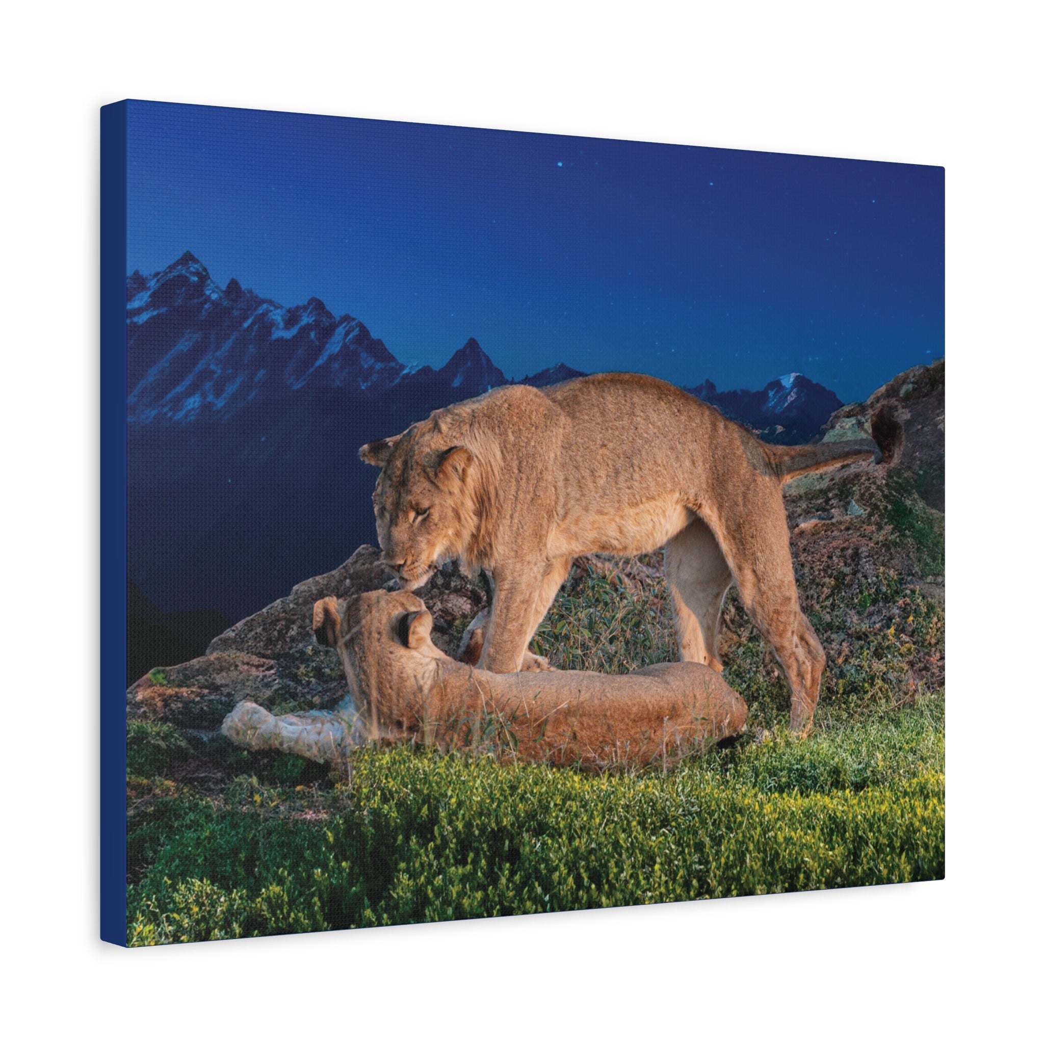 Canvas Prints