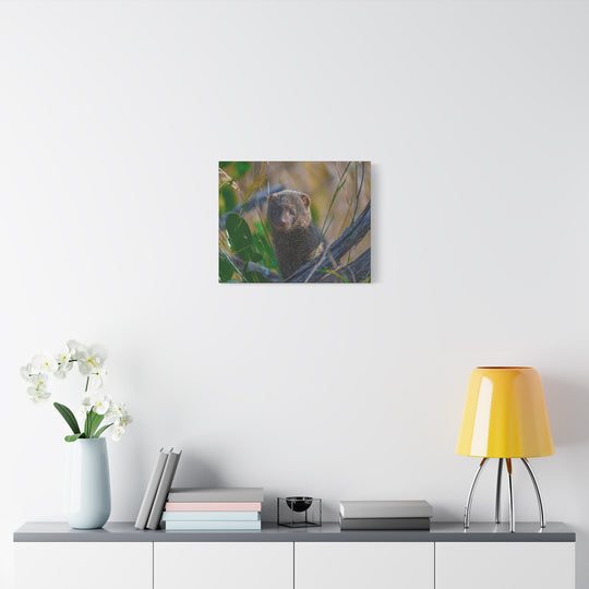 Canvas Print - Mongoose Design