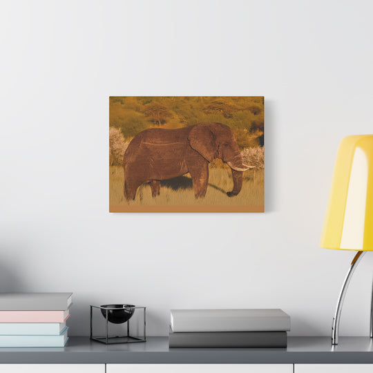 Canvas Print - Elephant in the African Savannah