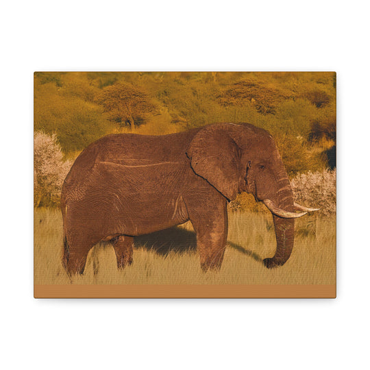 Canvas Print - Elephant in the African Savannah