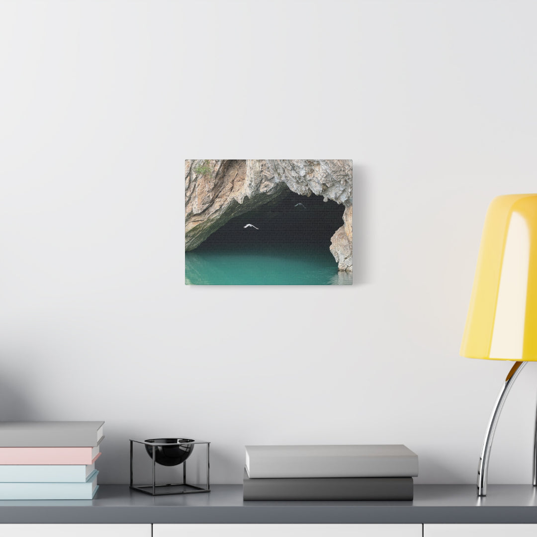 Stretched Canvas Wall Art, Matte Finish, Coastal Decor, Bird Print, Nature [...]