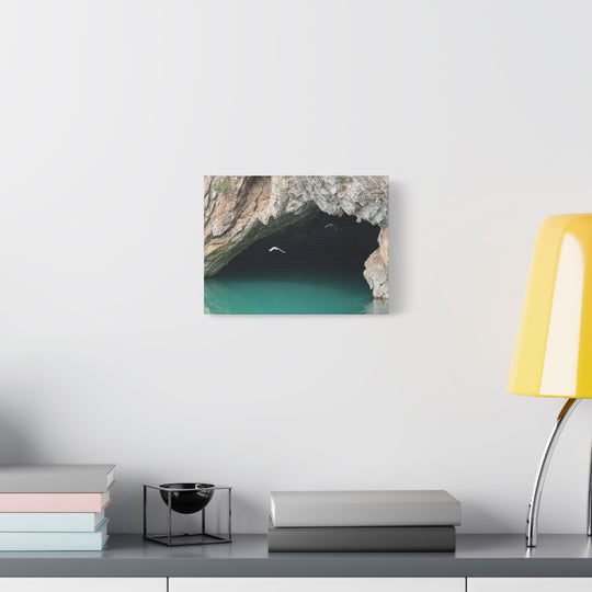 Stretched Canvas Wall Art, Matte Finish, Coastal Decor, Bird Print, Nature [...]