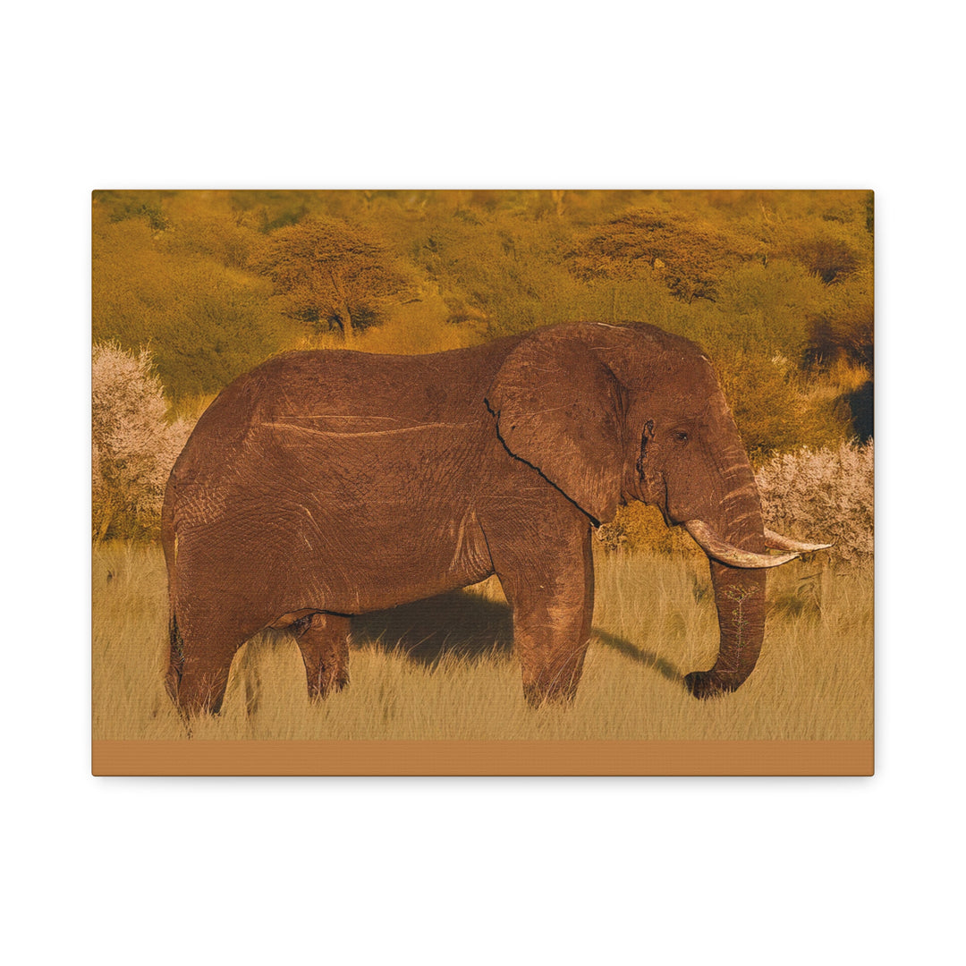 Canvas Print - Elephant in the African Savannah