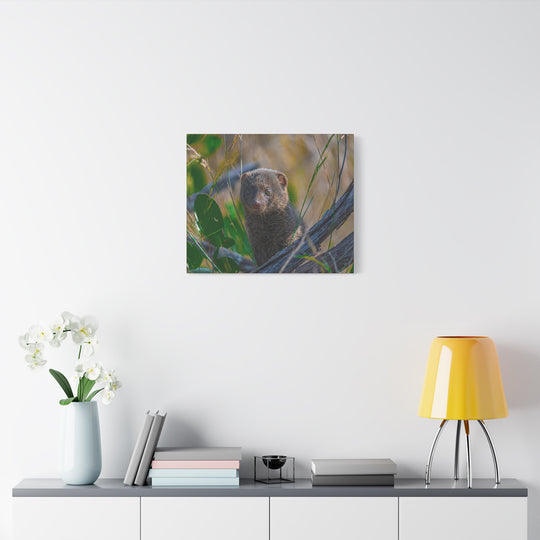 Canvas Print - Mongoose Design