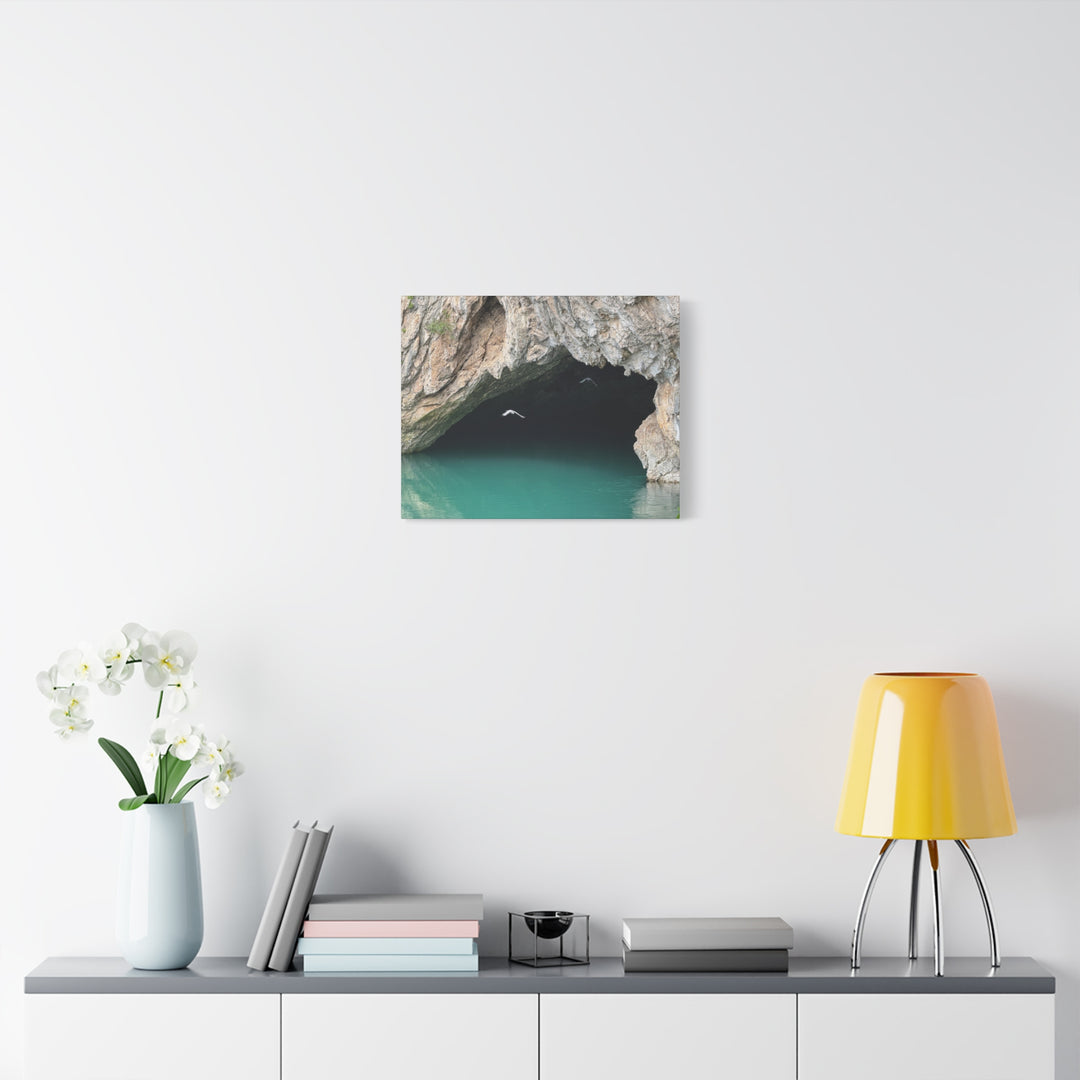 Stretched Canvas Wall Art, Matte Finish, Coastal Decor, Bird Print, Nature [...]