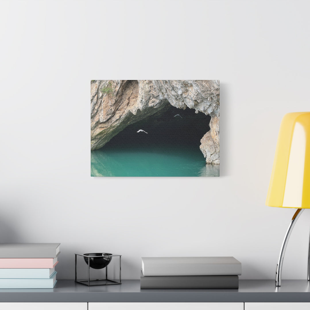 Stretched Canvas Wall Art, Matte Finish, Coastal Decor, Bird Print, Nature [...]