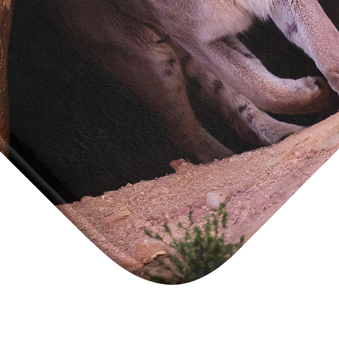 Bath Mat - Mountain Lion in Purple and Gold Cave Design