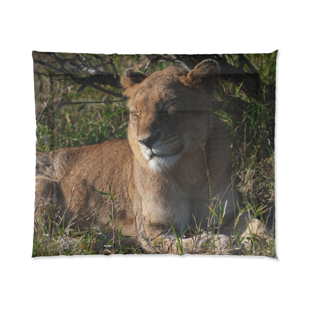 Comforter- lion resting