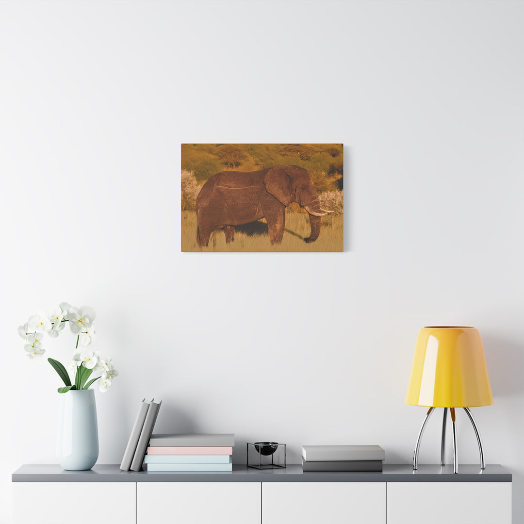 Canvas Print - Elephant in the African Savannah