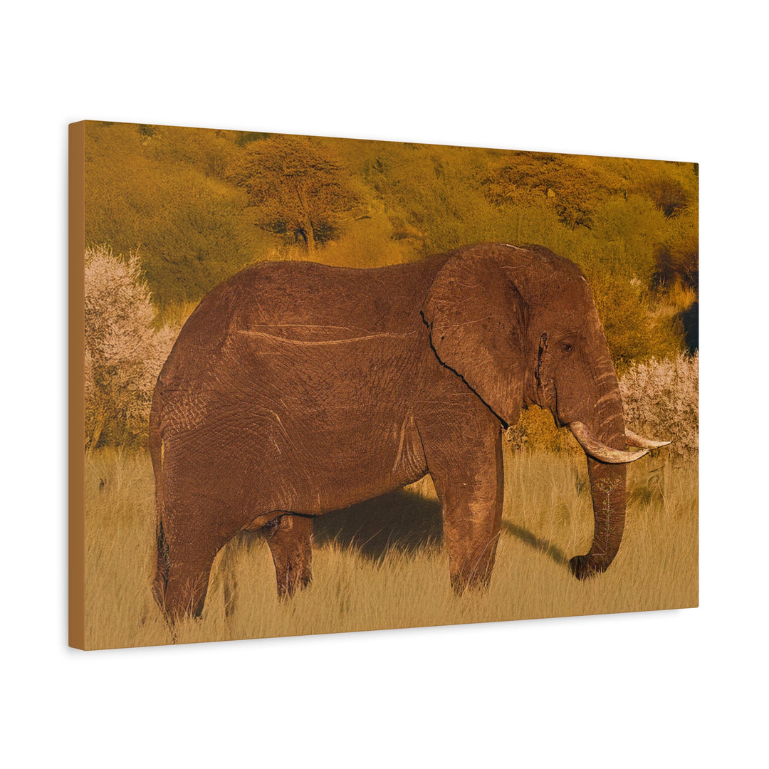 Canvas Print - Elephant in the African Savannah