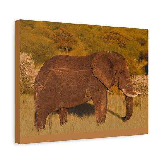 Canvas Print - Elephant in the African Savannah