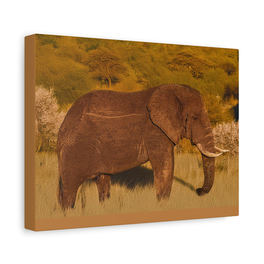 Canvas Print - Elephant in the African Savannah