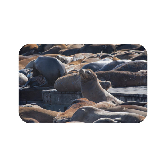 Bath Mat - Sea Lions on Ocean Dock