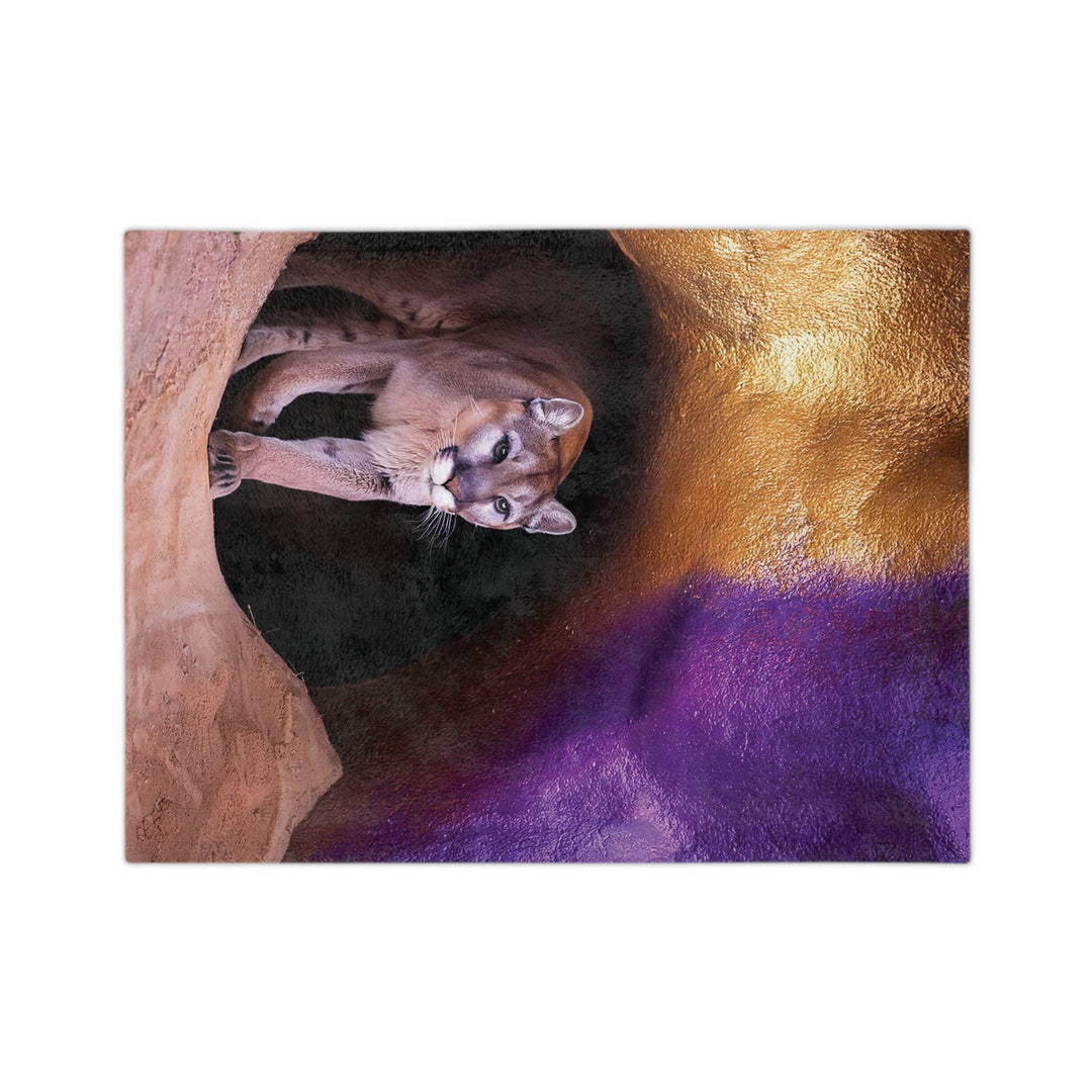 Velveteen Microfiber Blanket - Mountain Lion Cave Purple Gold Design