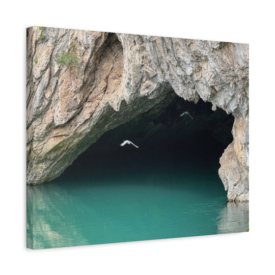 Stretched Canvas Wall Art, Matte Finish, Coastal Decor, Bird Print, Nature [...]