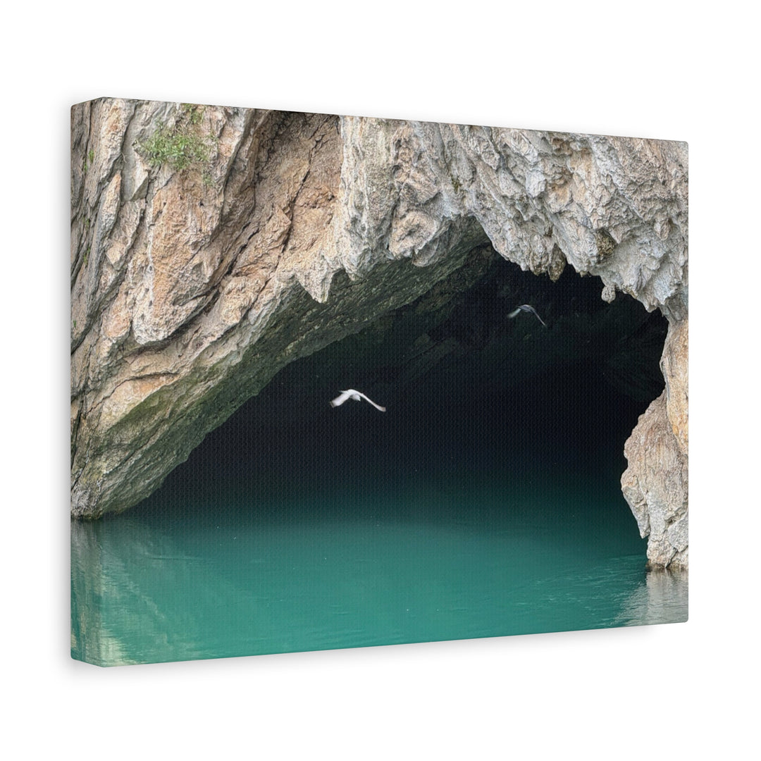Stretched Canvas Wall Art, Matte Finish, Coastal Decor, Bird Print, Nature [...]