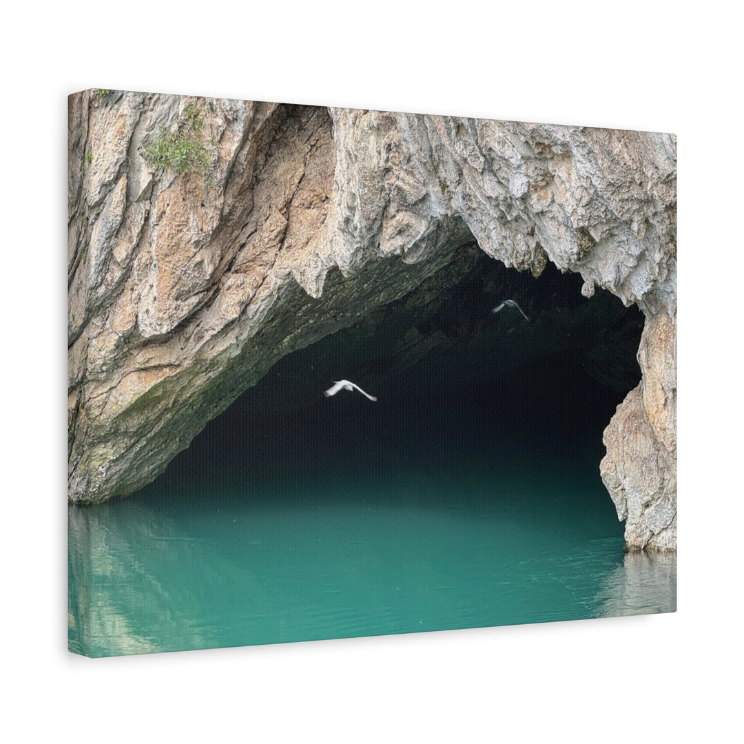Stretched Canvas Wall Art, Matte Finish, Coastal Decor, Bird Print, Nature [...]