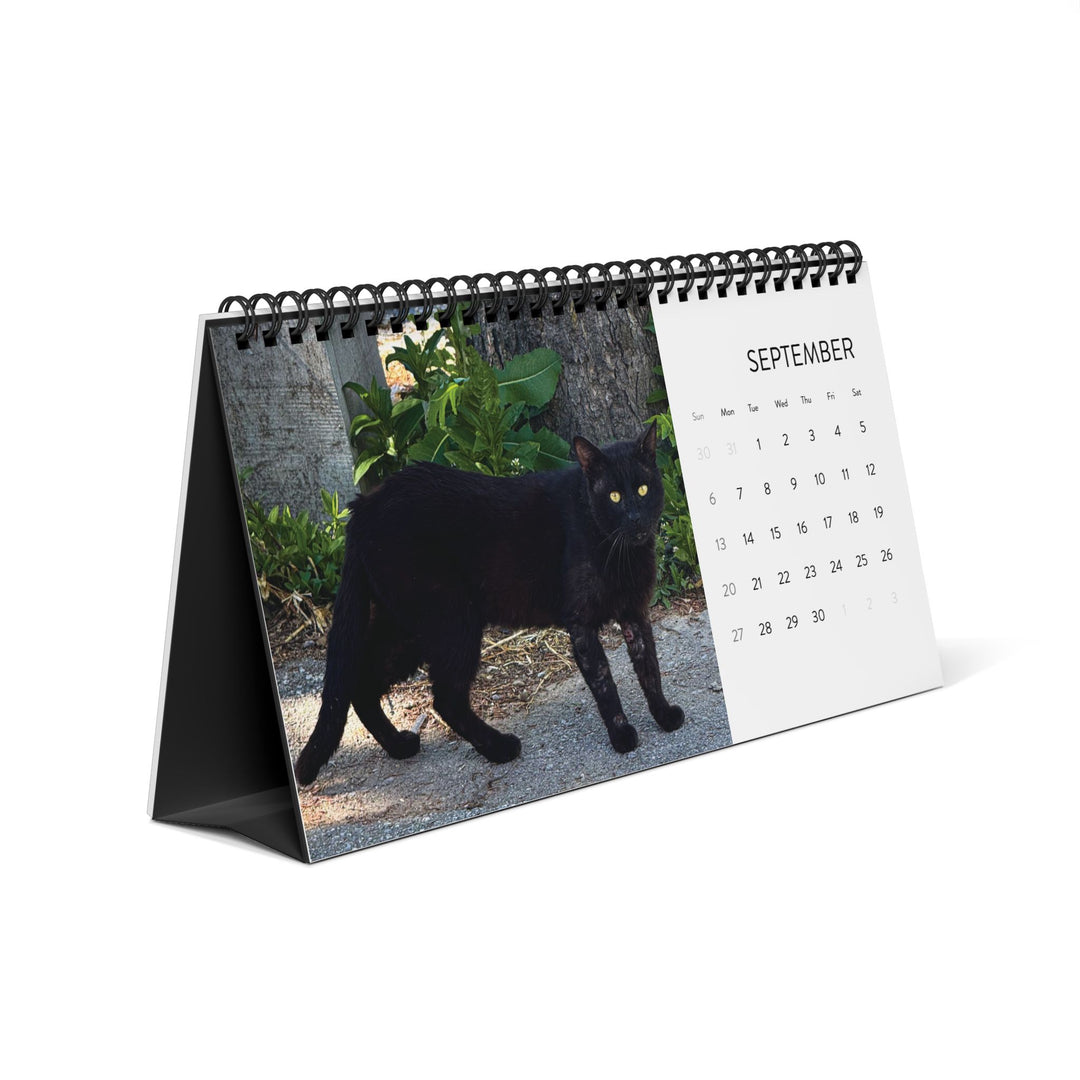 I Love Pussy Cat Desk Calendar 2026 – Funny Gift for Cat Lovers