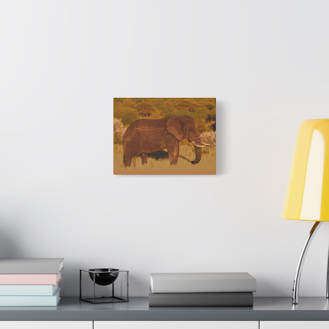 Canvas Print - Elephant in the African Savannah