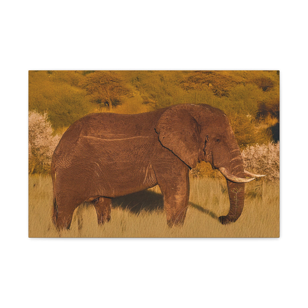 Canvas Print - Elephant in the African Savannah