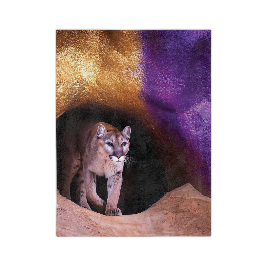 Velveteen Microfiber Blanket - Mountain Lion Cave Purple Gold Design